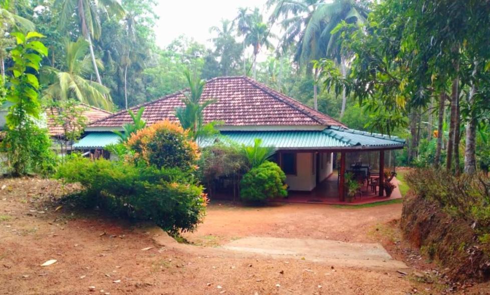 Hiriketiya Green Hill Home Dickwella Zewnętrze zdjęcie